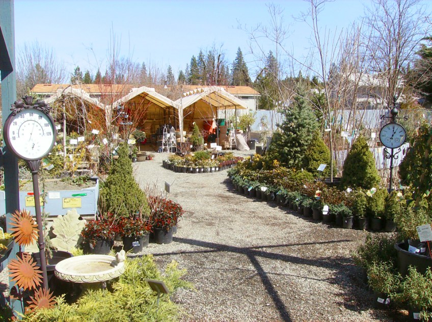 Great plant selection in early spring