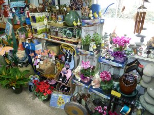 Gifts and houseplants