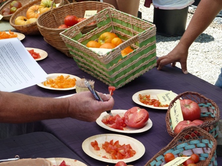 Tomato Tasting at Trinity Nursery