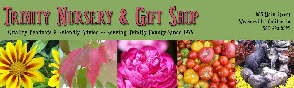 Trinity Nursery & Gift Shop