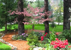 Pink Dogwood Garden