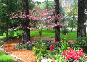 Pink Dogwood Garden