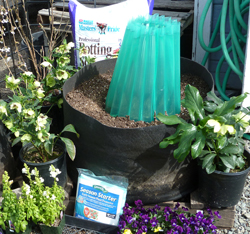 Season Starter water wall in the Nursery