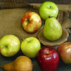Trinity County Fruit Varieties