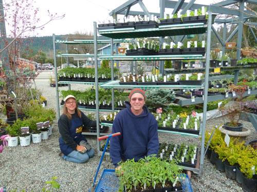 Rose and Bert unloading flats of organic vegetable starts