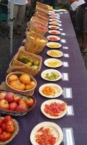 Trinity Nursery Tomato Tasting