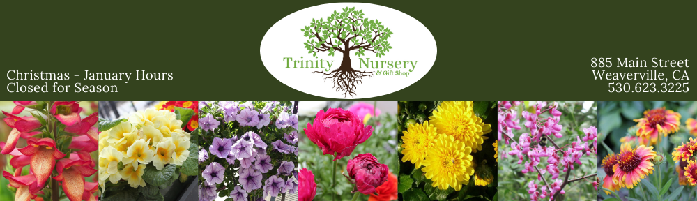 Trinity Nursery & Gift Shop