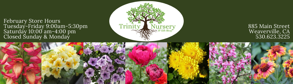 Trinity Nursery & Gift Shop